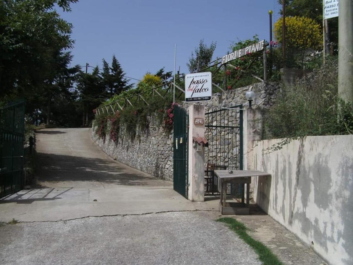 B&B Passo Del Falco Sorianello Luaran gambar