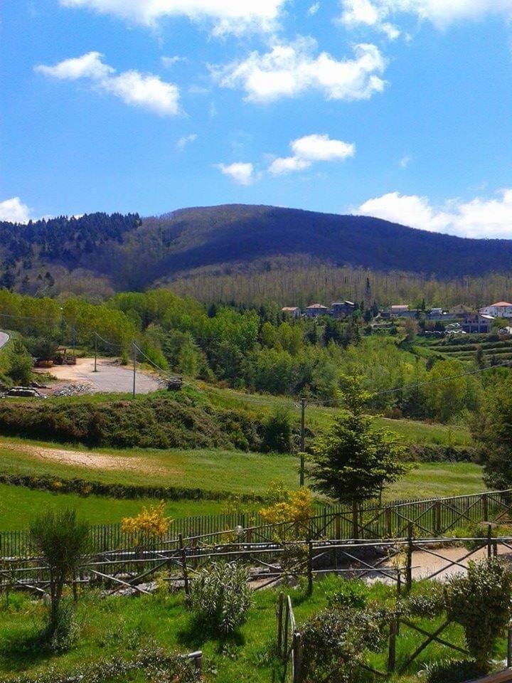 B&B Passo Del Falco Sorianello Luaran gambar
